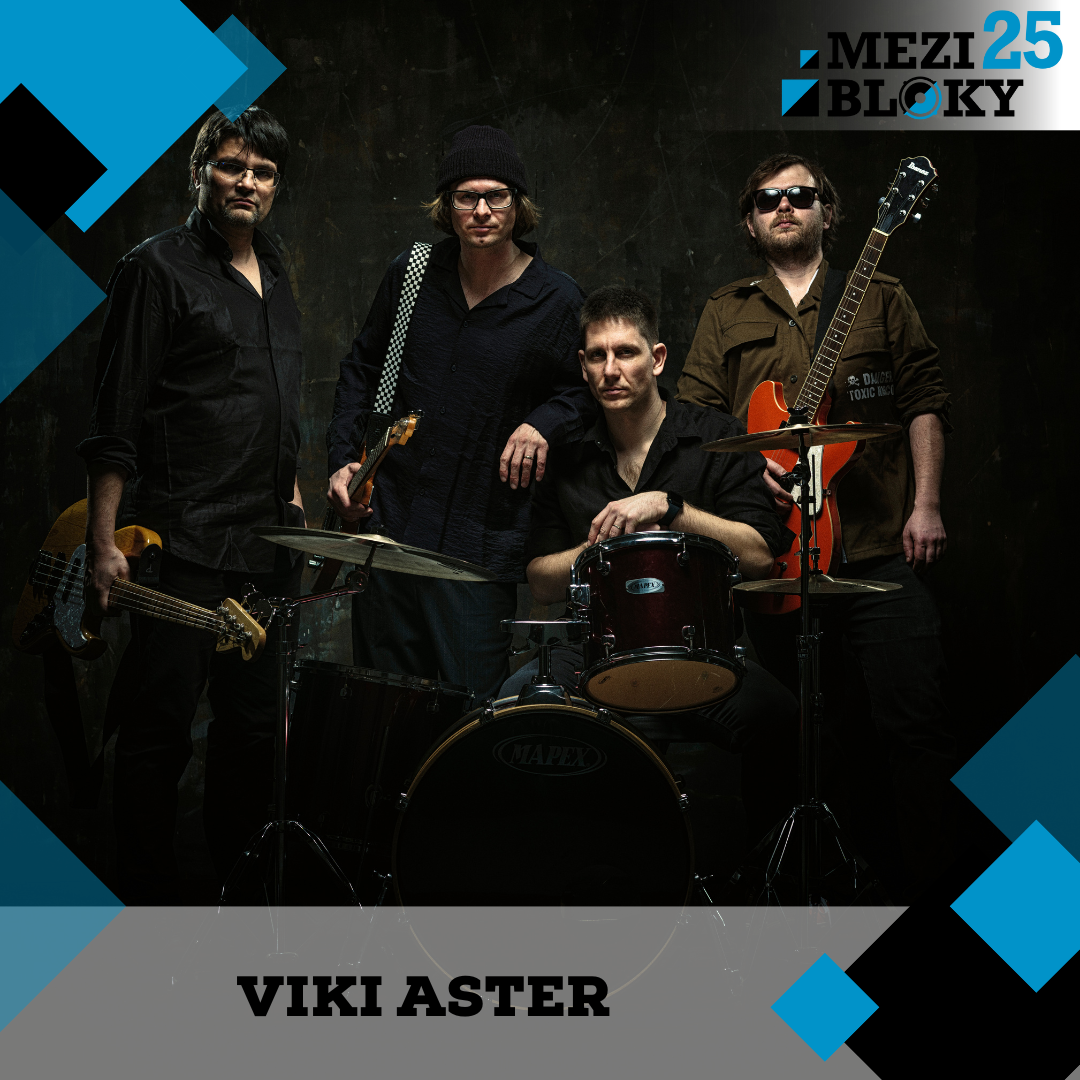Viki Aster